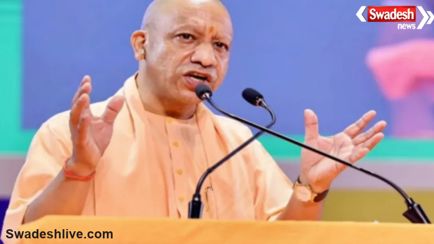 UP Government Job Verification Rules