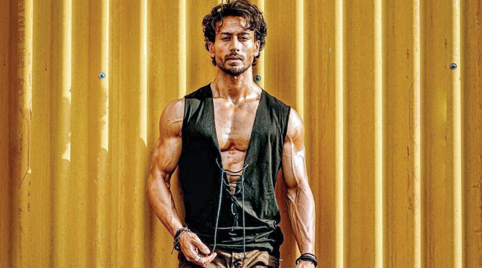 Tiger Shroff Income Sources